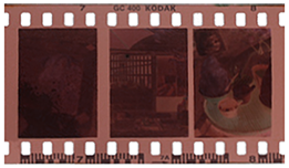 フィルム写真のデジタル化 詳細 写真せいとん屋