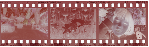フィルム写真のデジタル化 詳細 写真せいとん屋 フィルム写真のデジタル化 詳細 写真せいとん屋